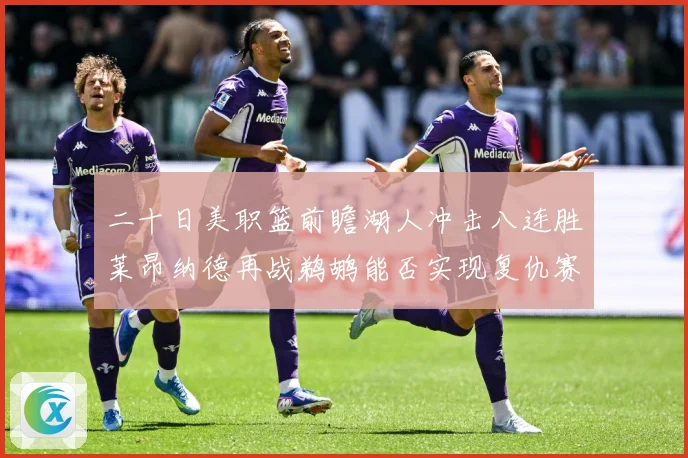 二十日美职篮前瞻湖人冲击八连胜莱昂纳德再战鹈鹕能否实现复仇赛场复盘-深度解析